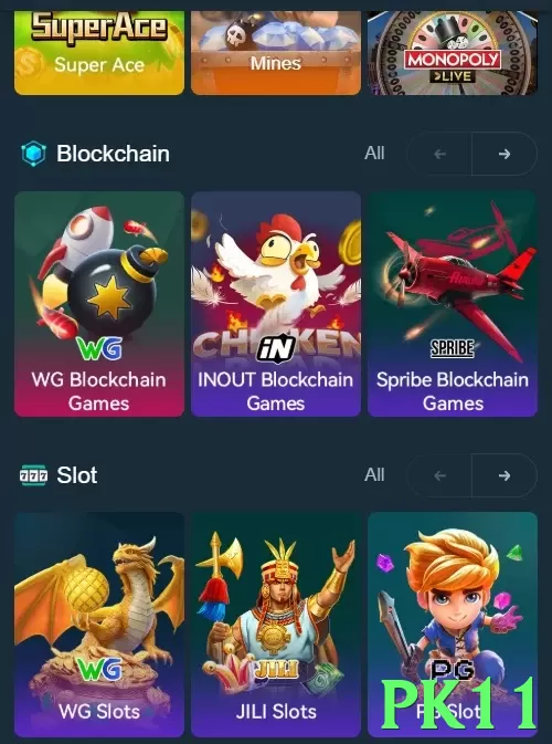 pk11 game app for Pakistan players - 3